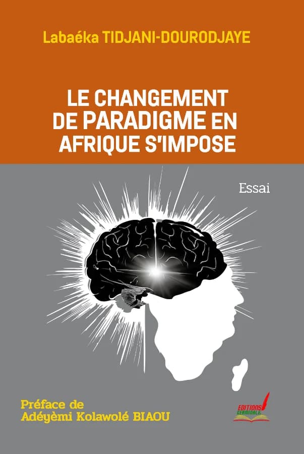 Couverture de Le changement de paradigme en Afrique s'impose